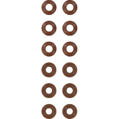 Reinz Valve Seal Set, 12-25227-04 12-25227-04